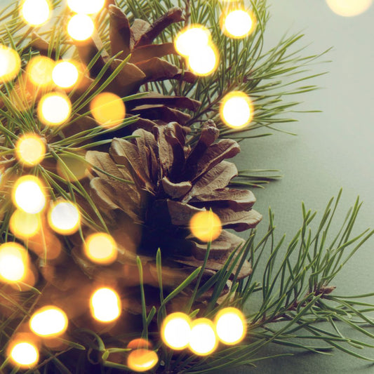 supporting neurodivergent kids at Christmas