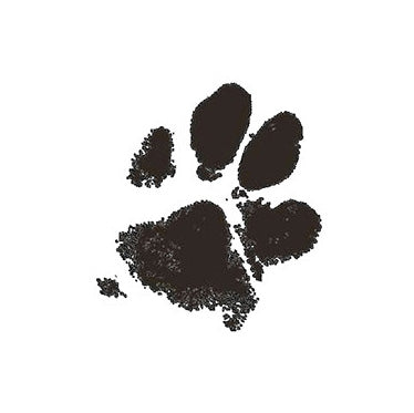 inkless pet paw print kit